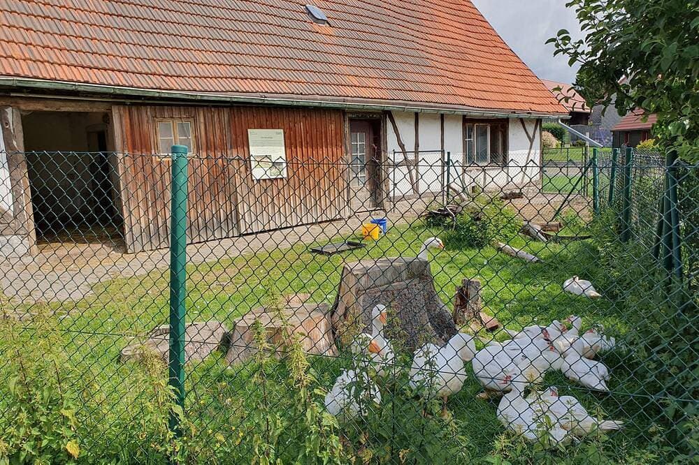 Foto 12 von 30: Ferienhaus Brockenbauer