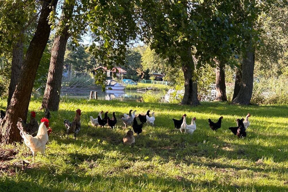 Foto 12 von 19: Am Schwielochsee