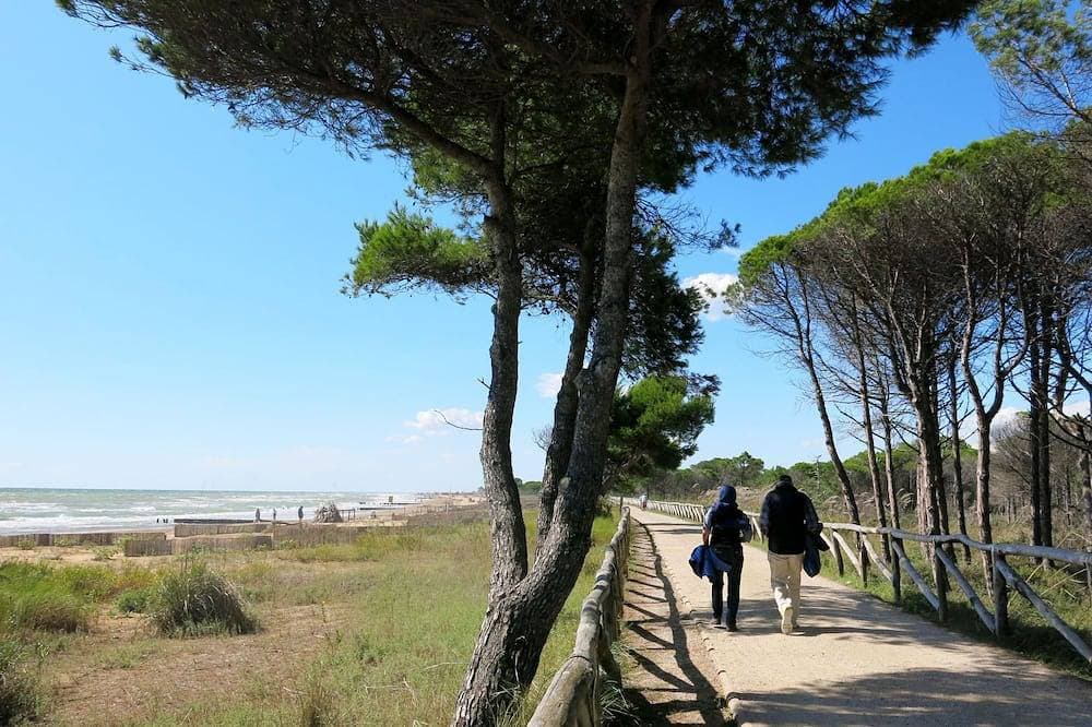 Foto 12 von 17: Dora & Le Pinetine