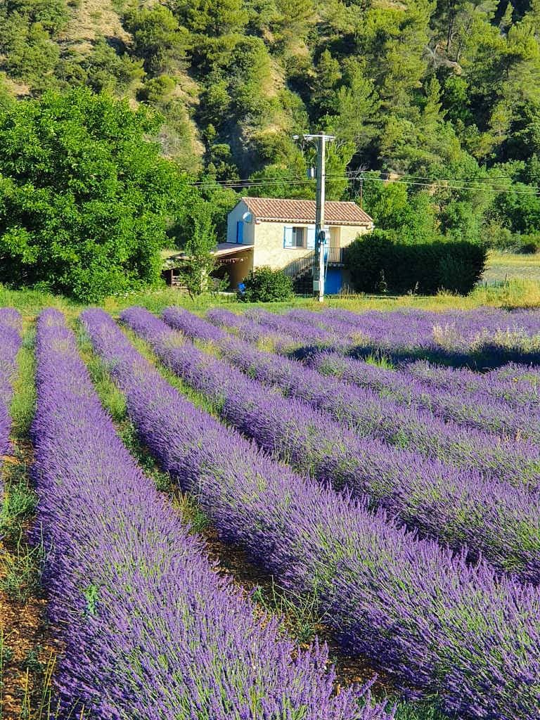 Foto 12 von 15: Le Petit Paradis