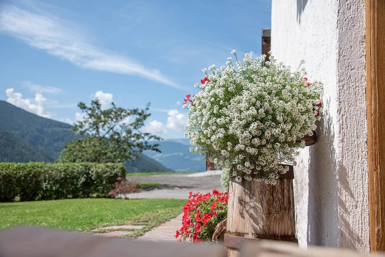 Foto 13 von 18: Ferienwohnung "Oberglarzhof Zirbel" mit Bergblick, Garten & WLAN