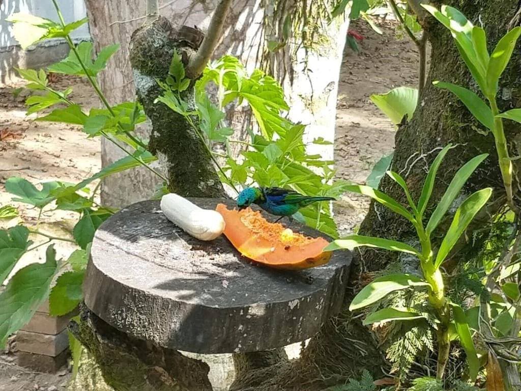 Foto 13 von 14: Suite 3 - Coqueiros Itamambuca