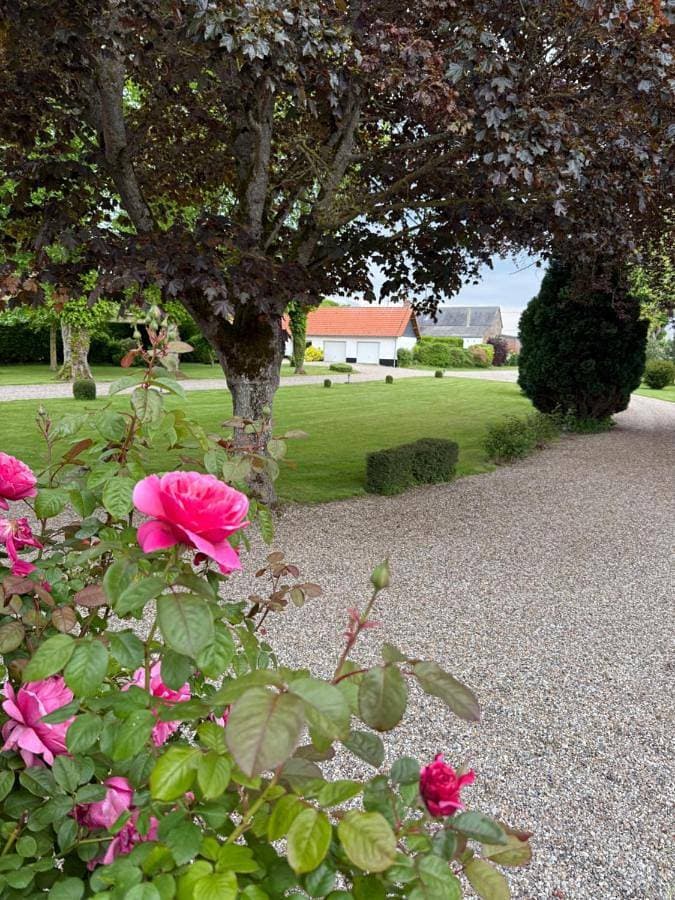 Foto 4 von 17: Holiday Home