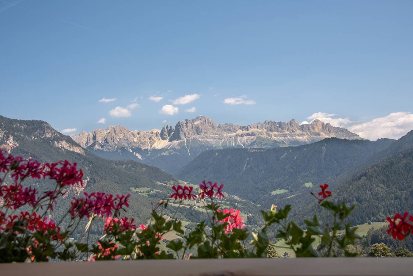Foto 12 von 33: Ferienwohnung 'Furnerhof Apt Olpenglühn' mit Bergblick, Gemeinschaftsgarten und WLAN