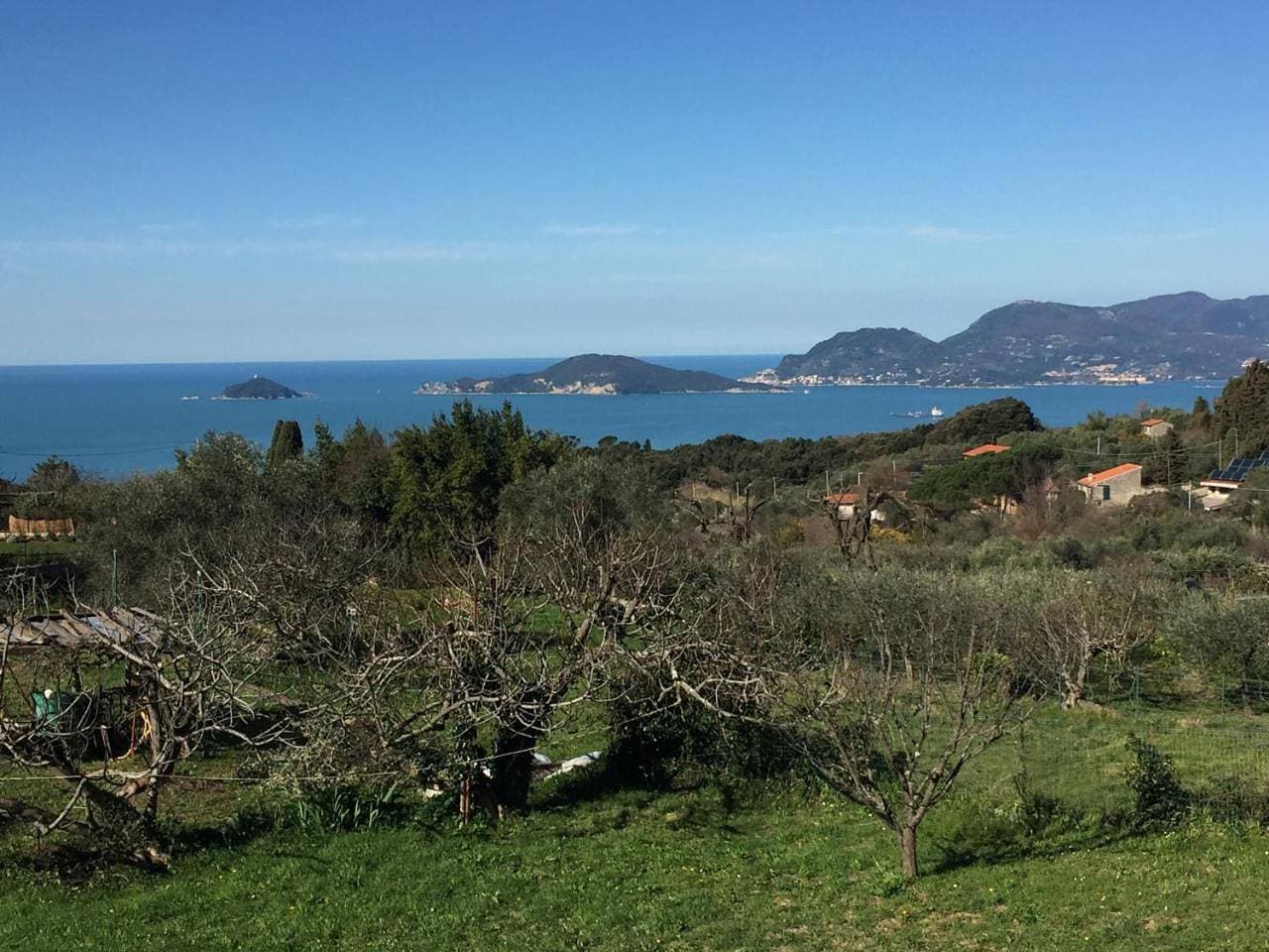 Foto 11 von 39: Holiday Home