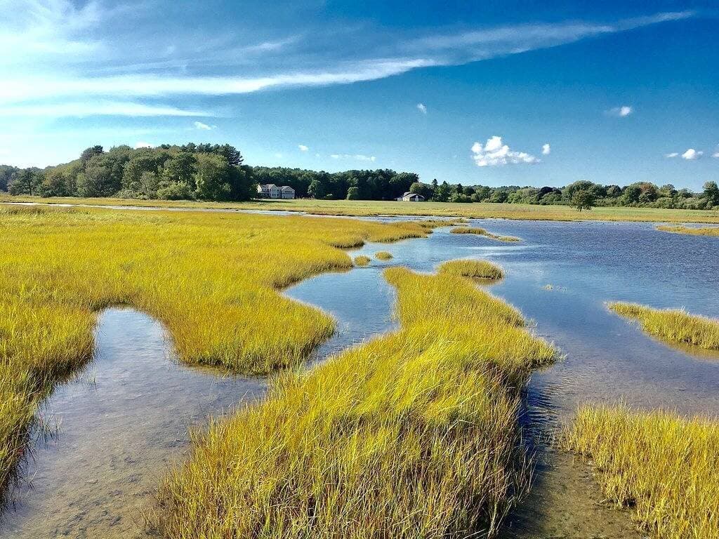 Foto 6 von 47: Moody Beach 24.-29. August 2019 Rabatt