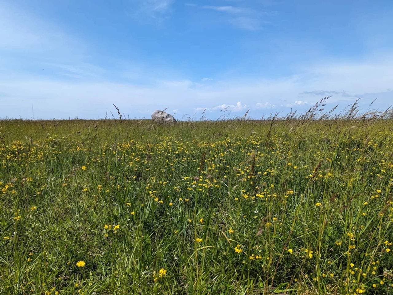 Foto 6 von 50: Üppiger Badeurlaub in Gedser