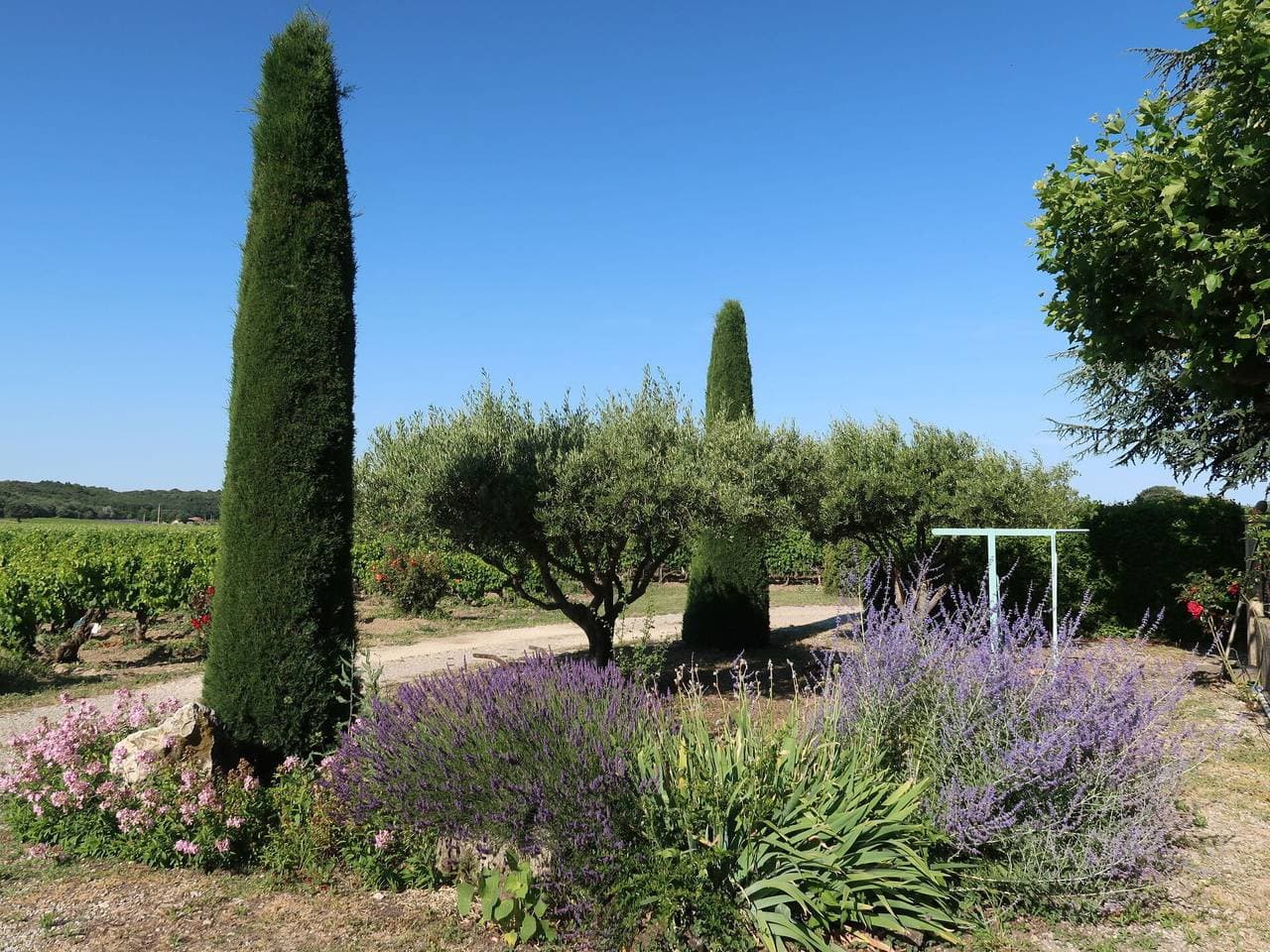 Foto 2 von 20: Le Mas - Le Mas 626.1