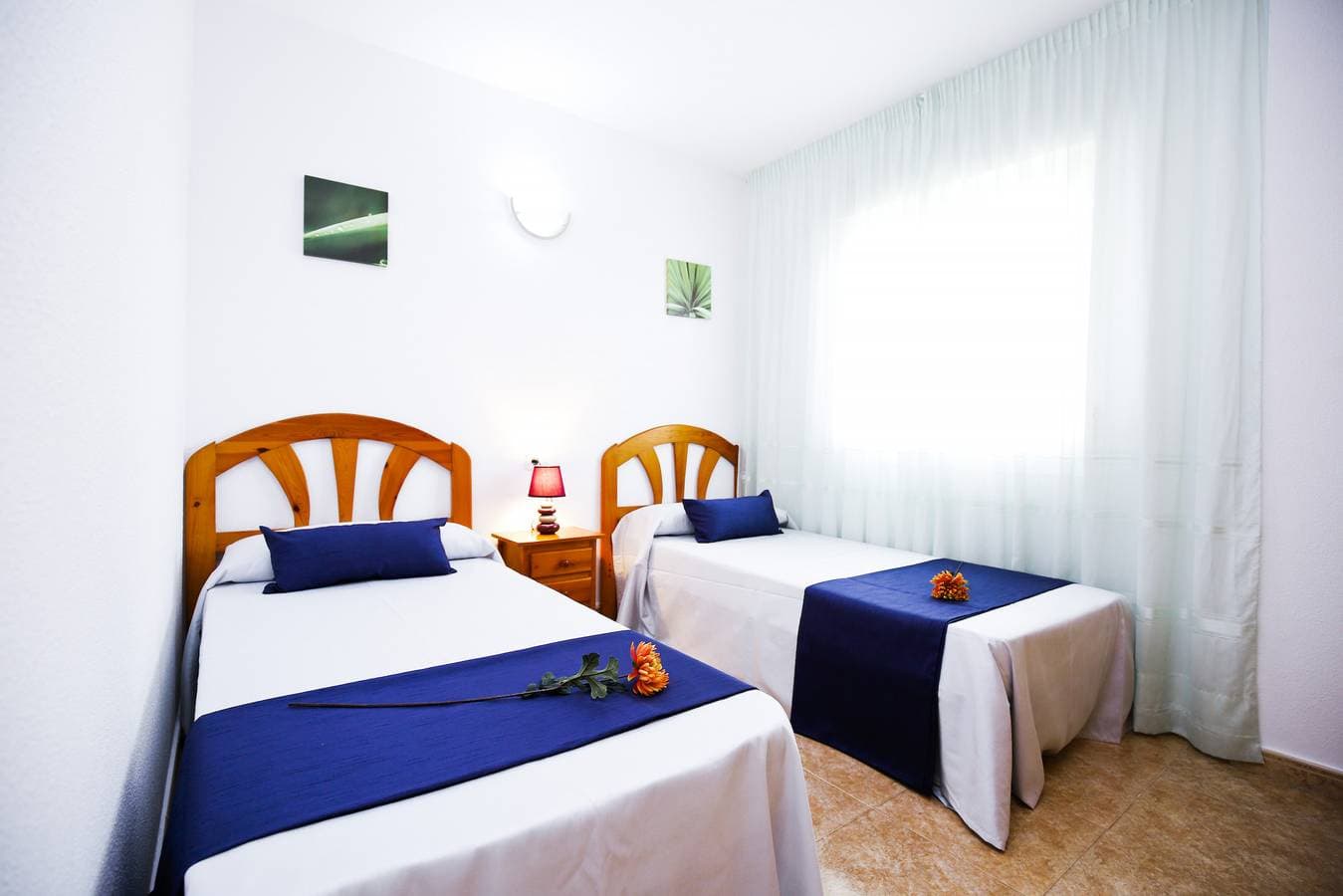 Foto 6 von 38: Family-Friendly Resort Los Juncos | Pool & Beach