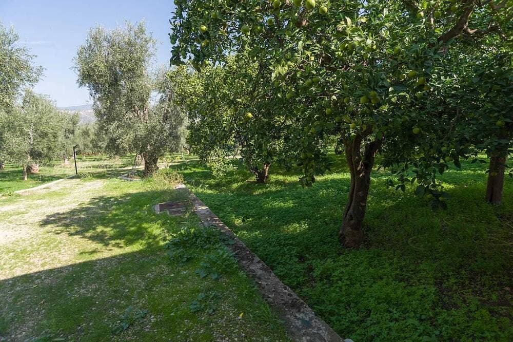 Foto 9 von 30: Einzelne Villa mit großer überdachter Veranda im Freien, umgeben von einem wunderschönen Zitronenhain