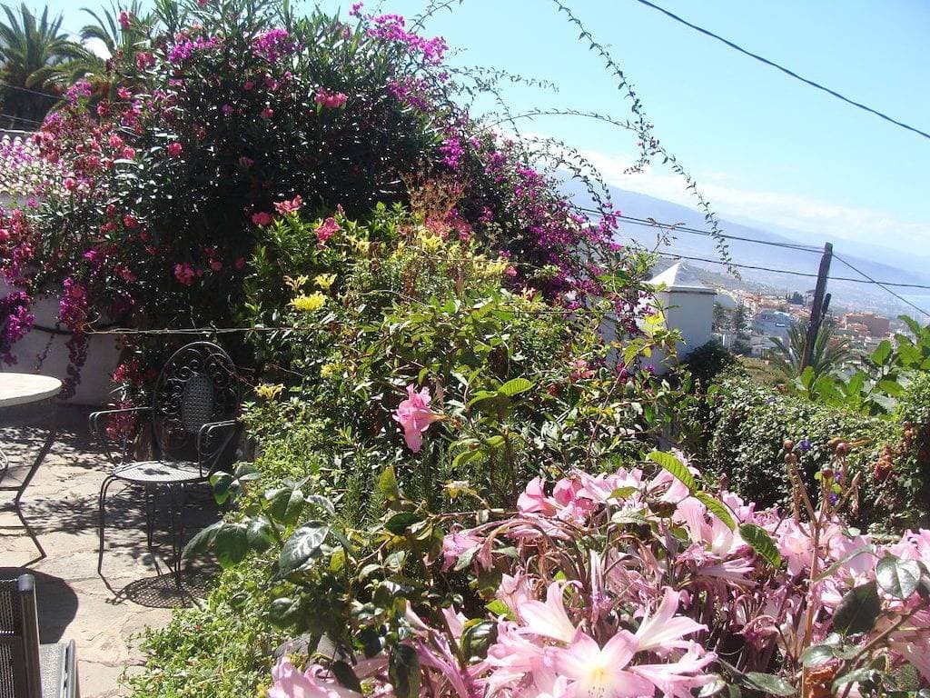 Foto 5 von 26: Juwel im Paradies || La Victoria de Acentejo