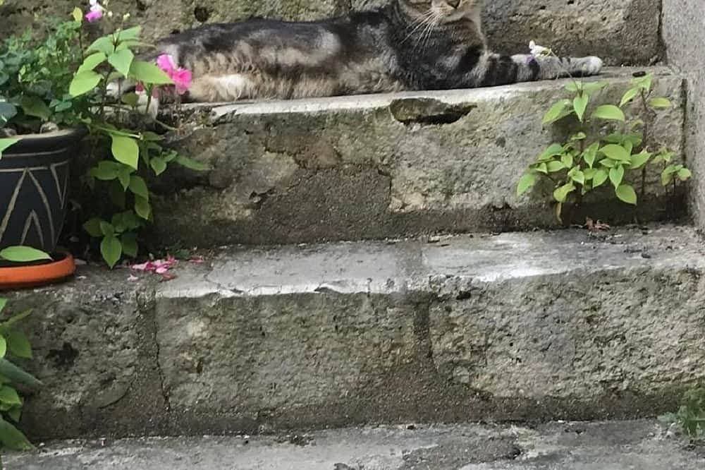 Foto 4 von 14: Le Poinçon Renversé : gemütlich und grün