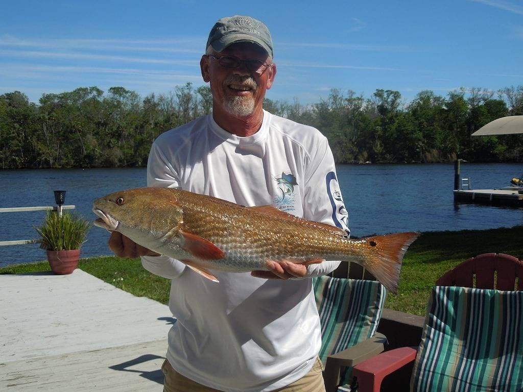 Homosassa Riverfront Retreat - Relax & Enjoy! 1