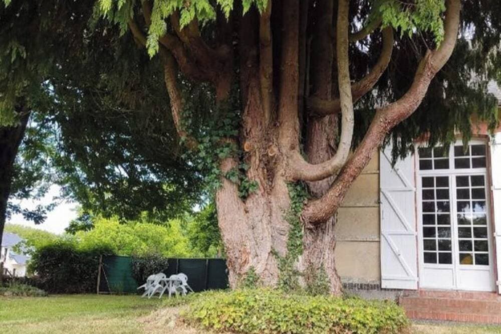 Foto 8 von 23: Gîte Les Trois Pommes, Normandy