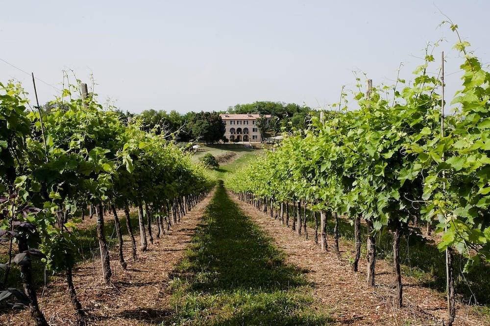 Foto 10 von 15: Villa Marani monte matello