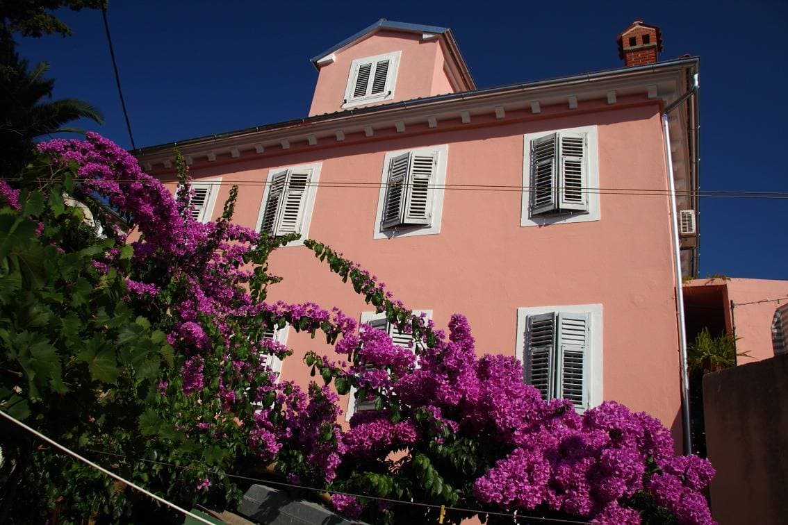 Foto 2 von 27: Studio Appartement mit Terrasse Mali Losinj, Losinj -a