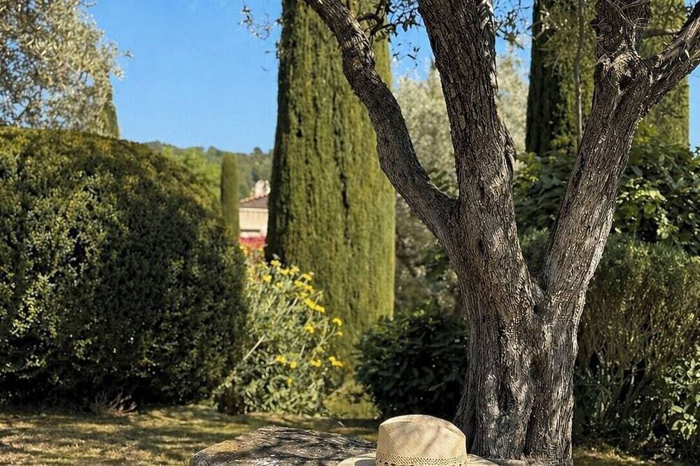 Foto 13 von 30: La Pergola — Where the Luberon Comes Inside