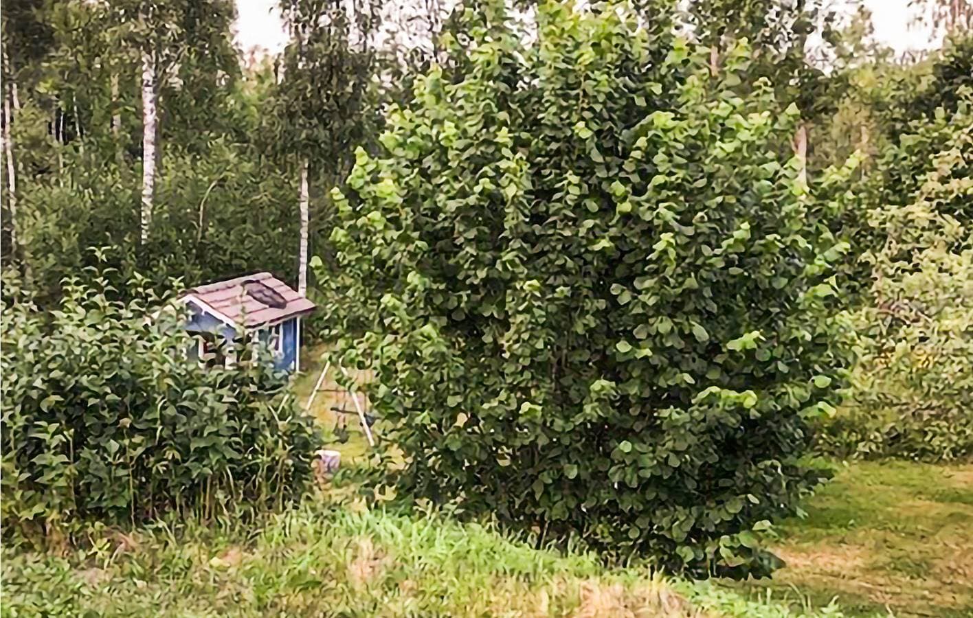 Foto 12 von 18: Ferienhaus für 6 Personen mit Seeblick