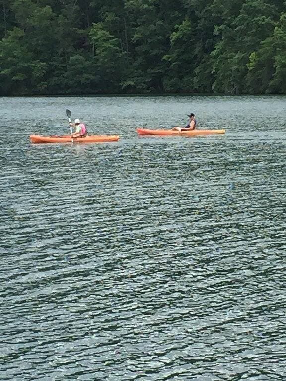 Foto 9 von 21: Abgeschiedene Waterfront Get Away am Smith Mountain Lake