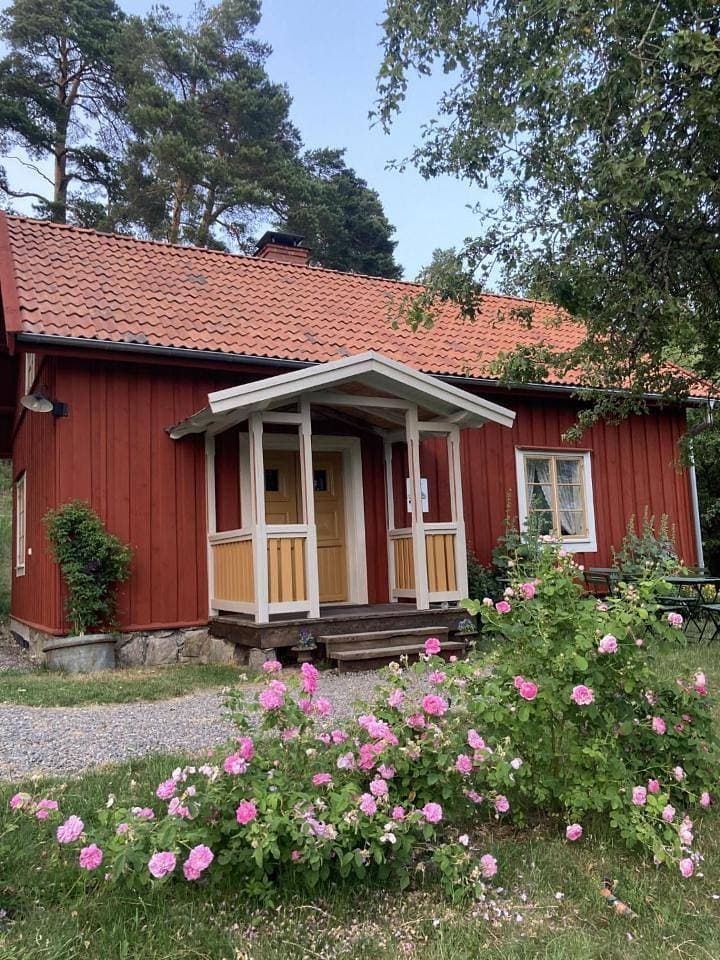 Foto 6 von 20: Villa with Garden View