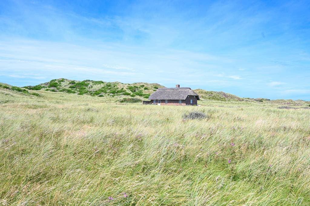 Wohnen direkt in den Dünen am Nordseestrand auf einem 12.000 qm großen Grund 1