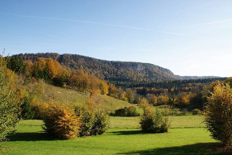 Foto 5 von 11: Narlay