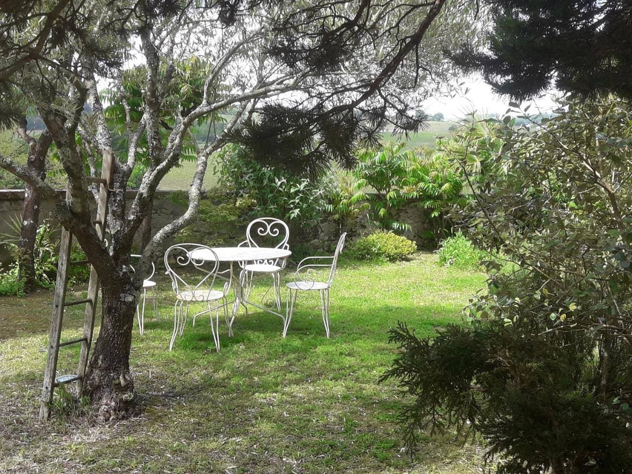 Foto 11 von 12: Double Room with Garden View