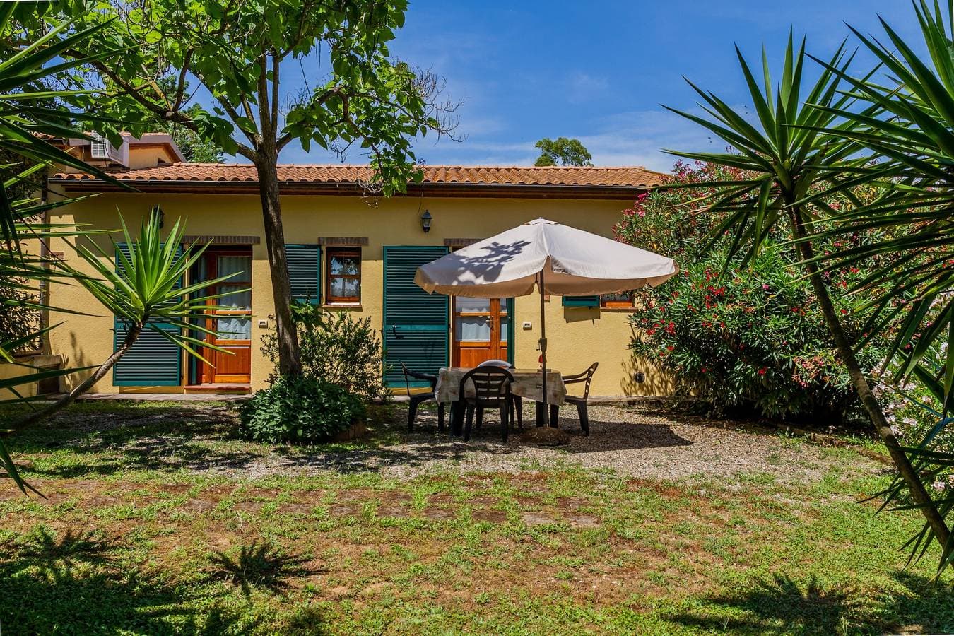 Oleandro - Agriturismo La Fattoria 1