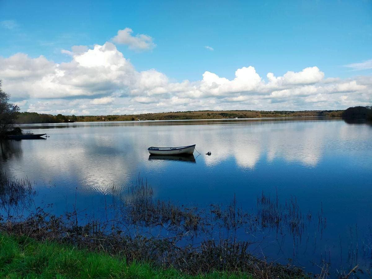 Au bord du lac Vioreau 44 1