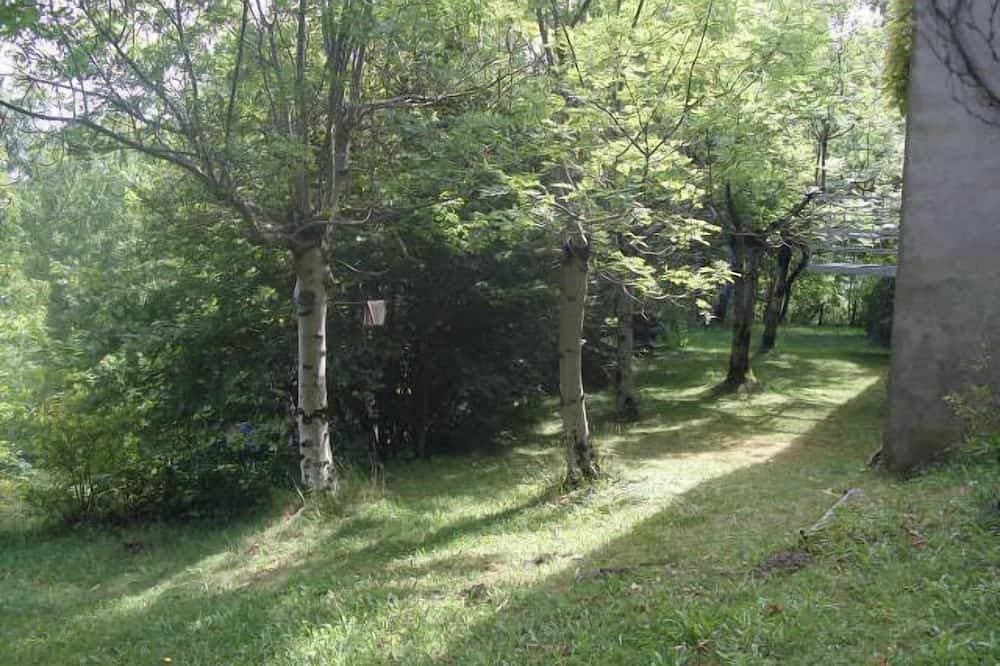 Foto 8 von 14: Im Herzen eines Kastanienhains