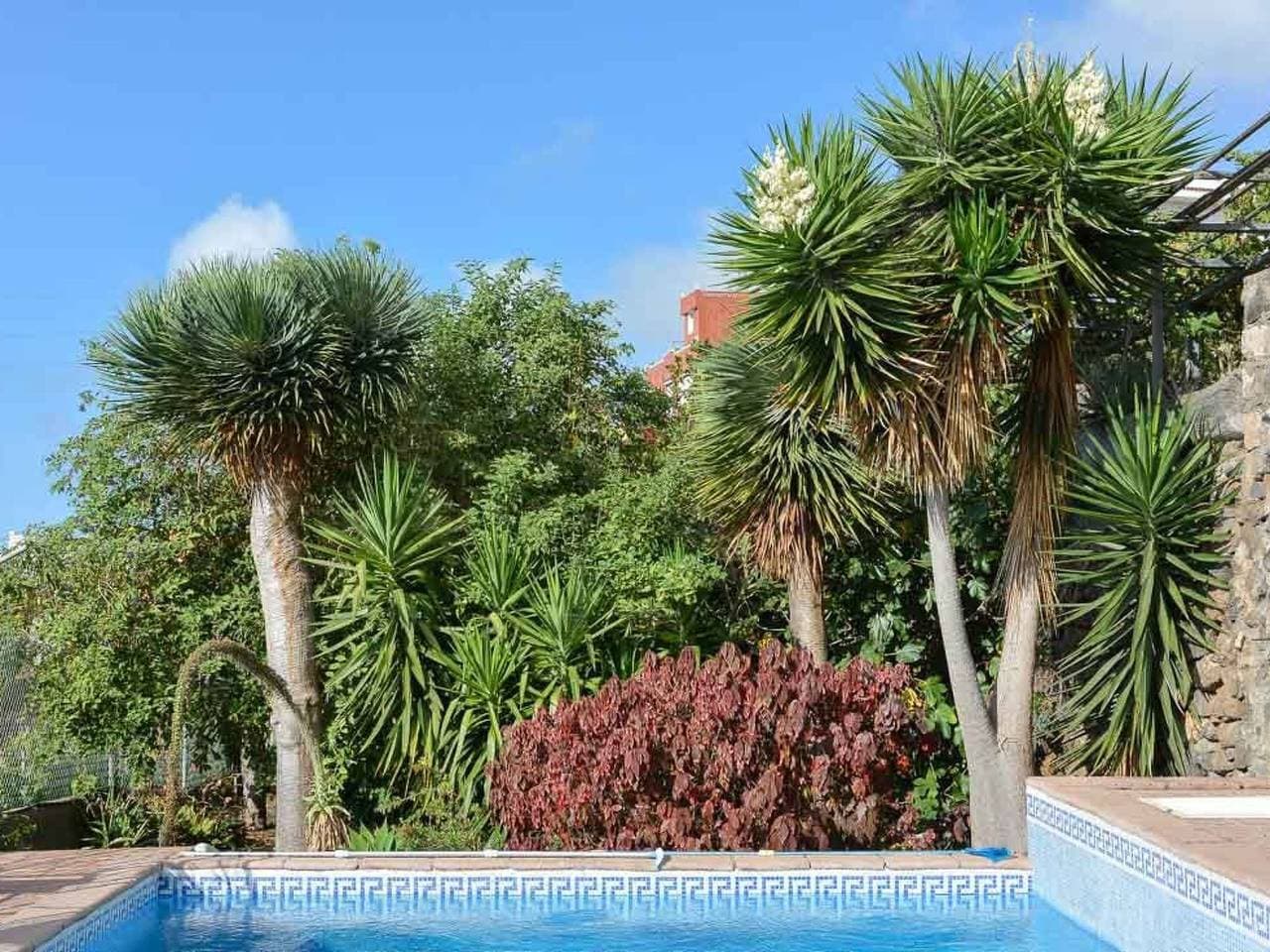 Foto 11 von 29: Renovierte Finca Paradies mit privatem Pool