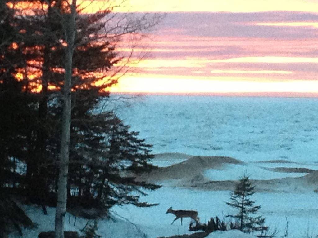 Foto 5 von 49: Charming Year Round Beach Cottage in Keweenaw, 3km zu Calumet