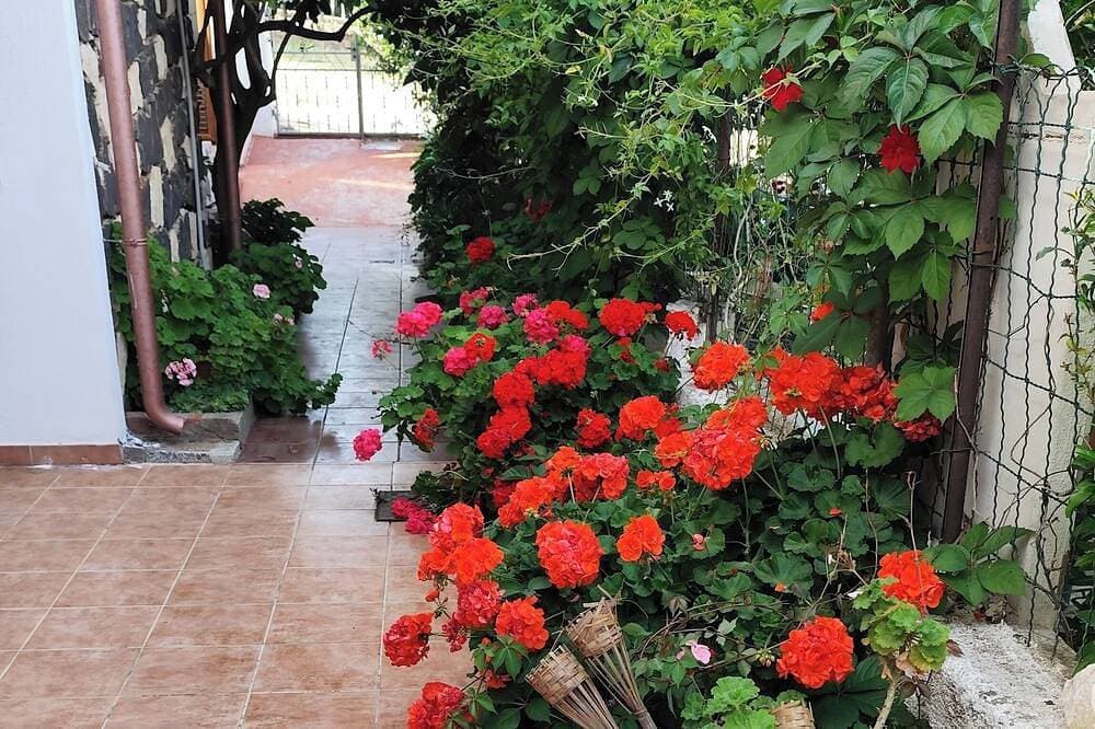 Foto 11 von 30: Cala Gonone Beautiful House With Garden In Paradise The Sea Of Sardinia