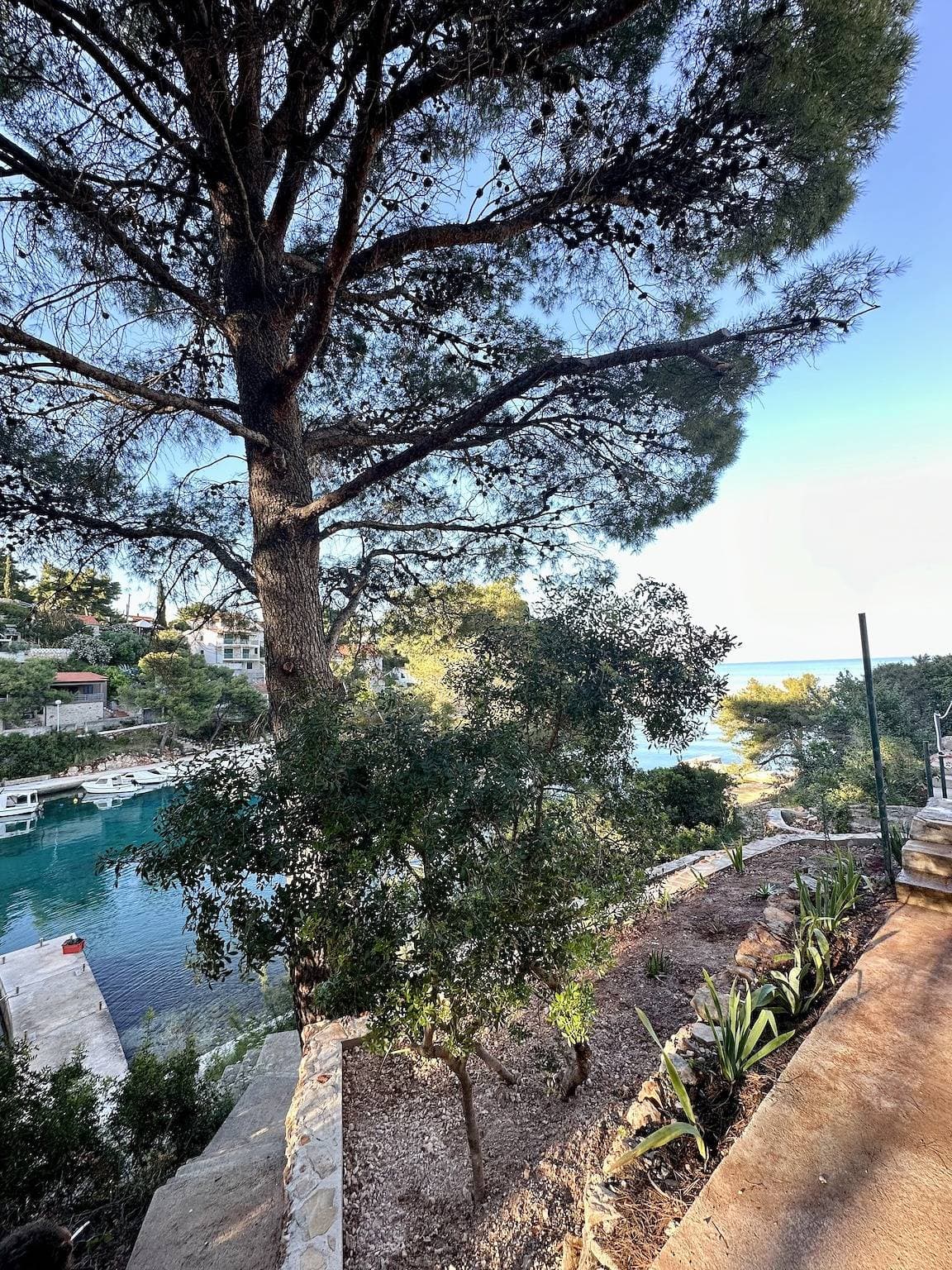 Foto 7 von 37: 1-Zimmer-Ferienwohnung am Strand Basina, Hvar A-24120-a
