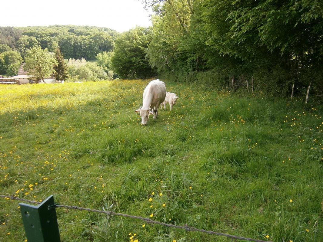 Foto 5 von 26: Au Petit Paradis