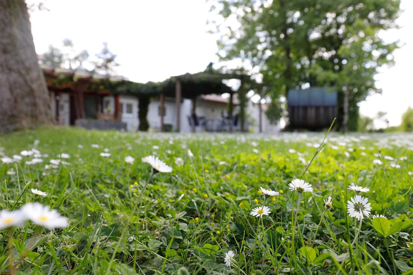 Foto 5 von 35: Ferienwohnung 'Scheurebe' mit privatem Balkon, Gemeinschaftsterrasse und Gemeinschaftsgarten