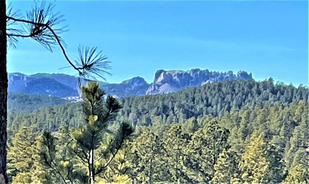 Foto 7 von 24: 15 min to Mount Rushmore, Black Hills.