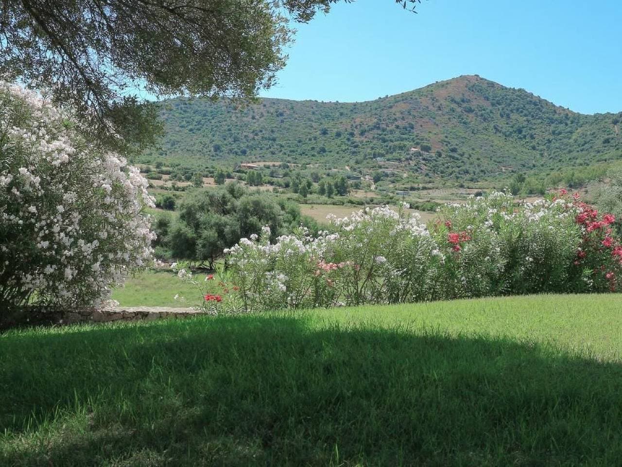 Foto 5 von 27: Wohnung "Rena" mit Meerblick