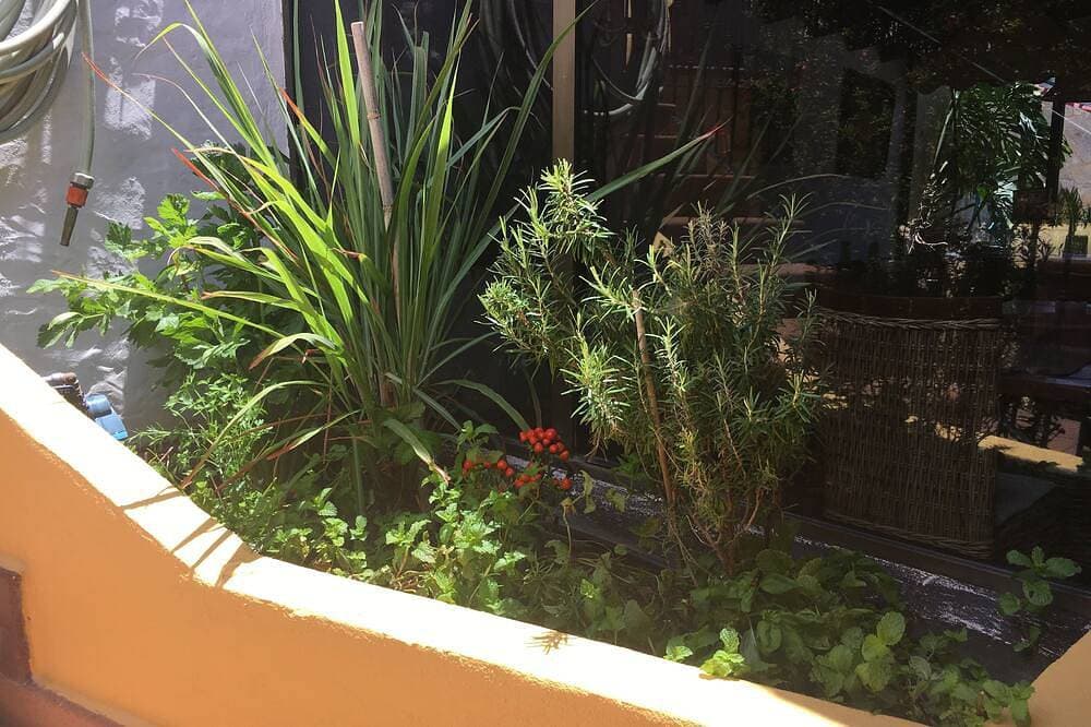 Foto 11 von 30: \"Los Jazmines\" Blick Auf Berg Und Meer.  Jacuzzi Exterior, Peace und WIFI