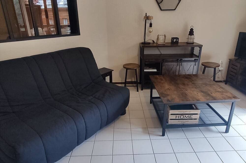 Appartement 4/6 Pers au Pied des Pistes Toutes Saisons 1