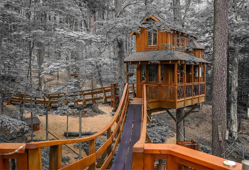 Foto 13 von 31: Das magische Baumhaus von Chez 'Tree Rest thront 35' über dem Waldboden!