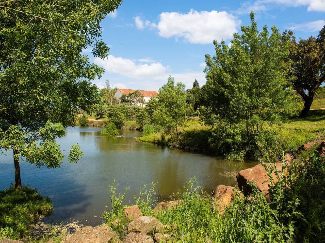 Foto 9 von 39: Ihr Ausflug ins Montemor-o-Novo-Herrenhaus