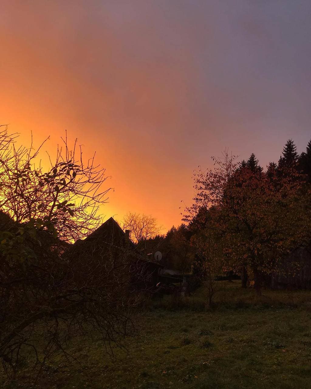 Foto 6 von 20: Ferienwohnung mit privatem Naturschwimmteich - Ferienwohnung mit direktem Zugang zum Garten