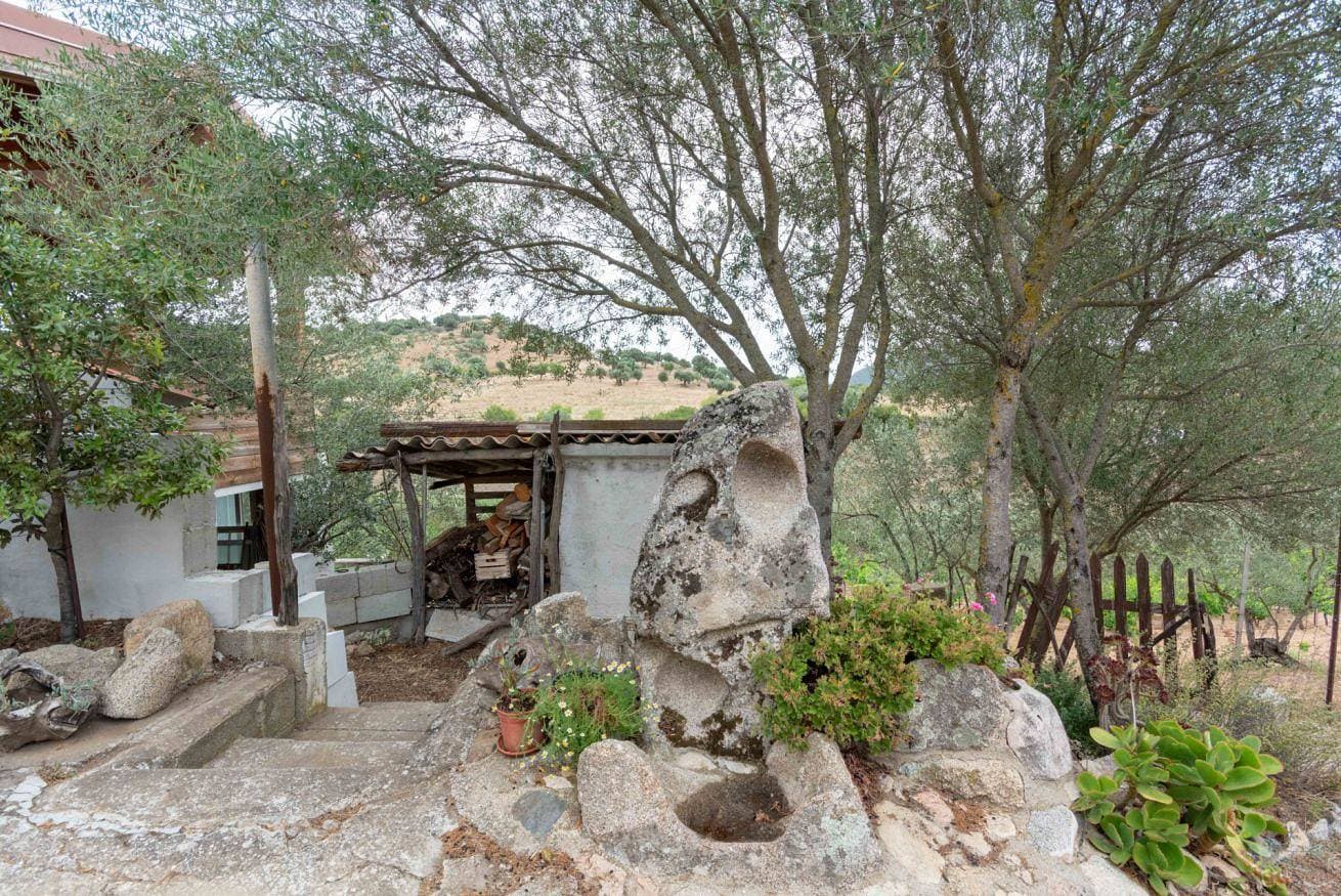 Foto 10 von 26: Villa Jumpadu komplett von der Natur umgeben