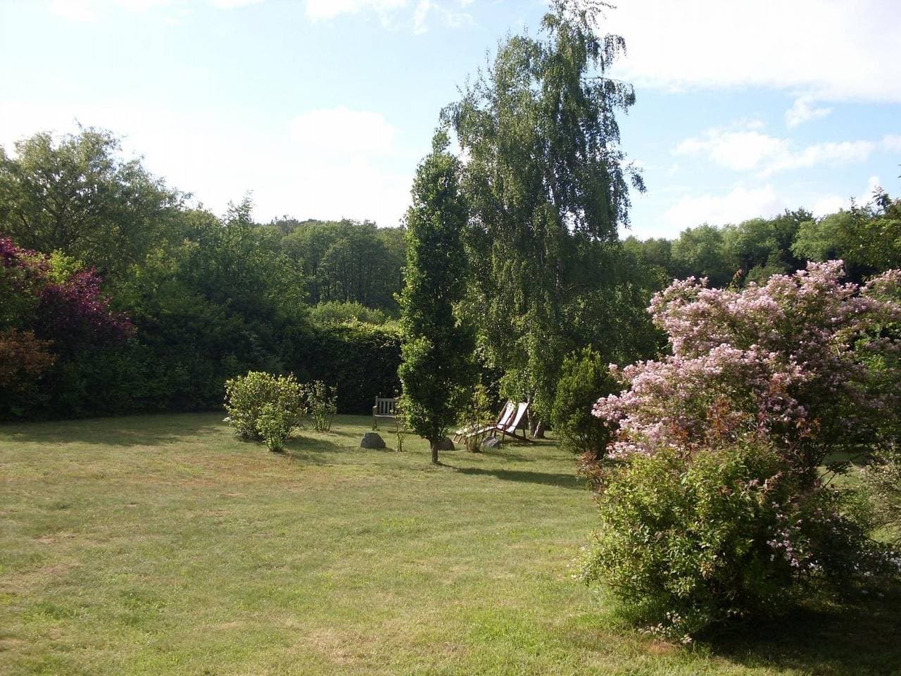 Foto 5 von 18: Reetdach - Ferienwohnung " Spann mol ut " bei Binz