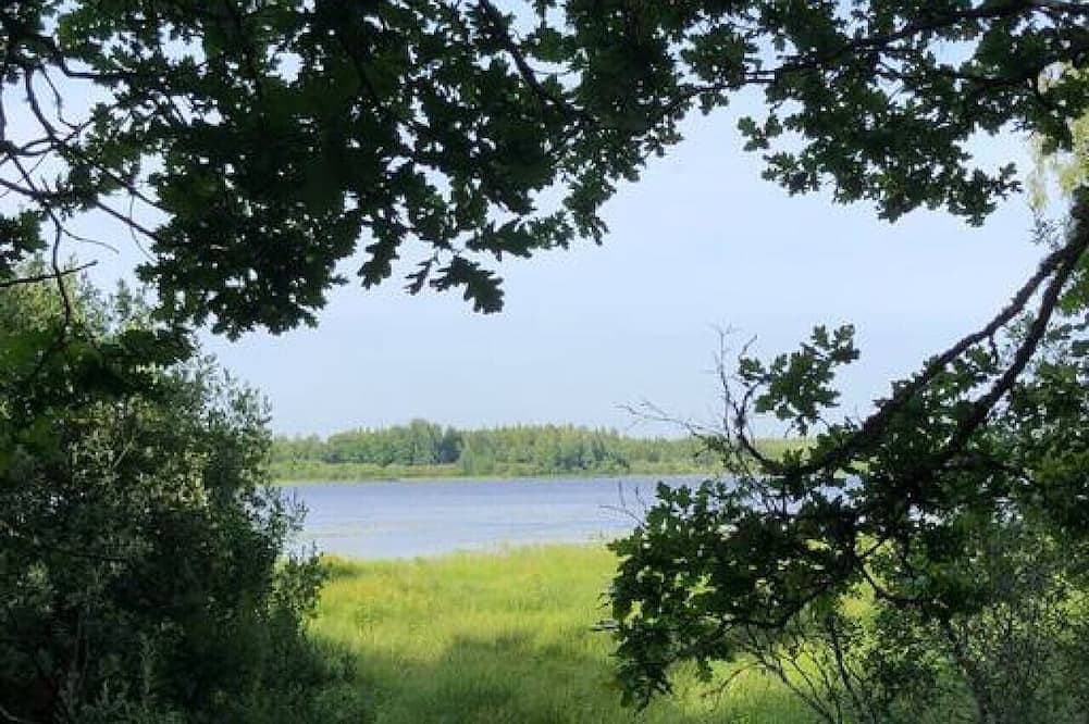 Foto 6 von 8: Tree-tent overlooking lake in private woodland