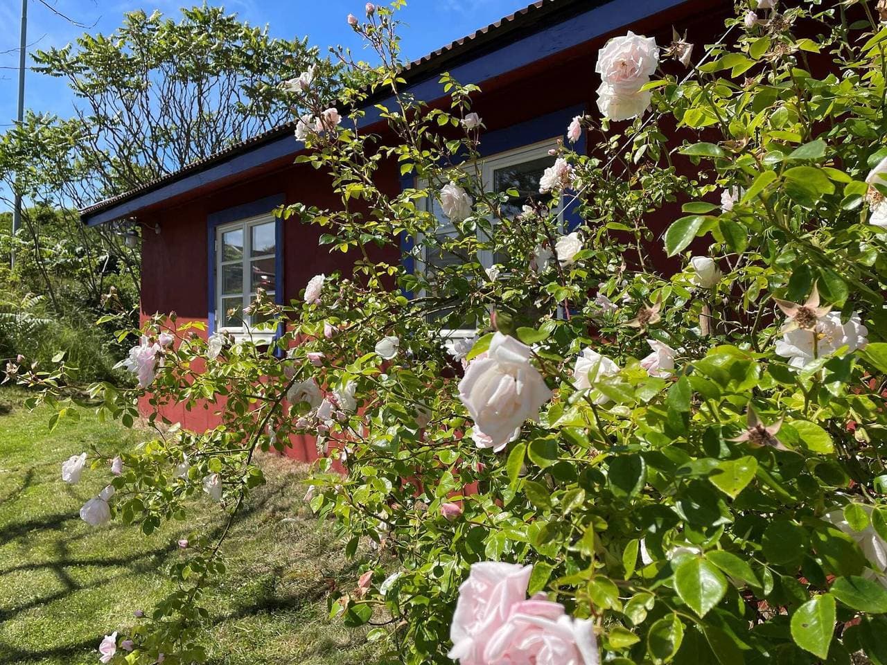 Foto 4 von 28: 4 Personen Ferienhaus in Skärhamn