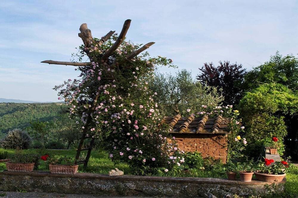 Foto 9 von 24: Relax Between Olives And Wineyards In The Chianti,Only 35Minutes From Florence!