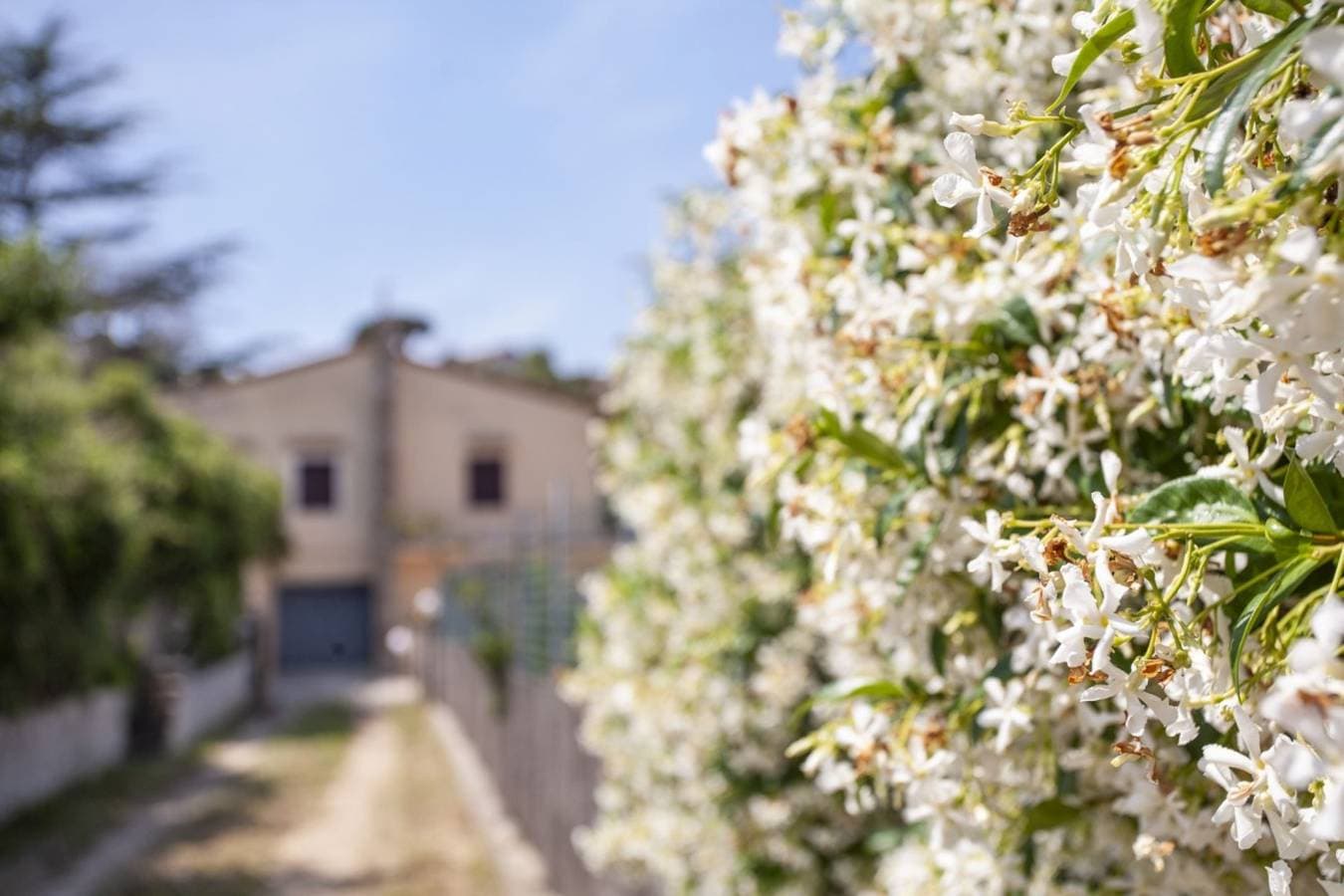 Foto 6 von 29: Villa für 6 Personen mit Garten