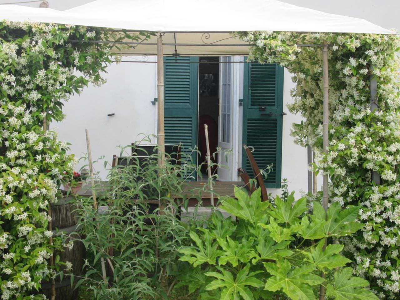 Foto 11 von 30: Holiday Home